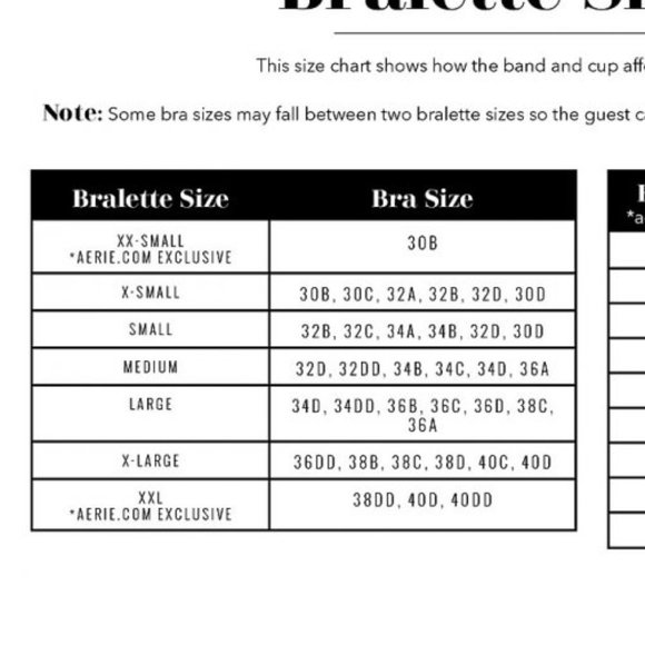 NWT, Aere Hibiscus Lace Strappy Triangle Bralette, XL - Picture 6 of 6